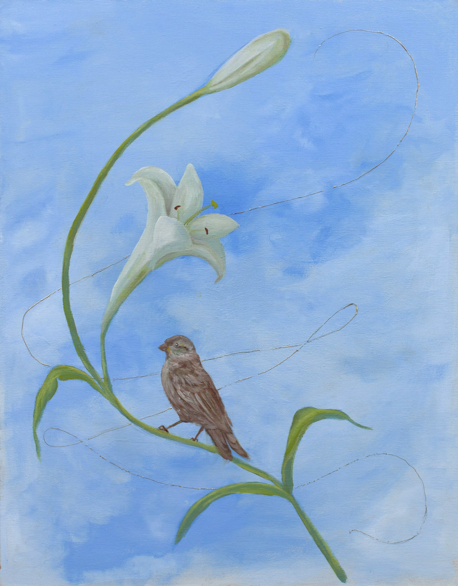 Birb